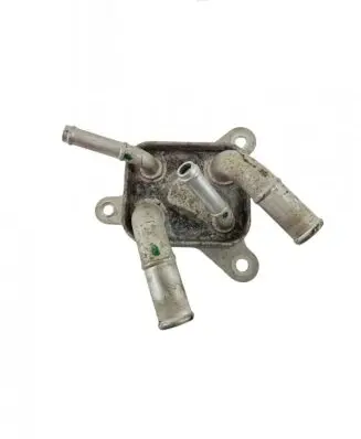 Oil filter mounting bracket