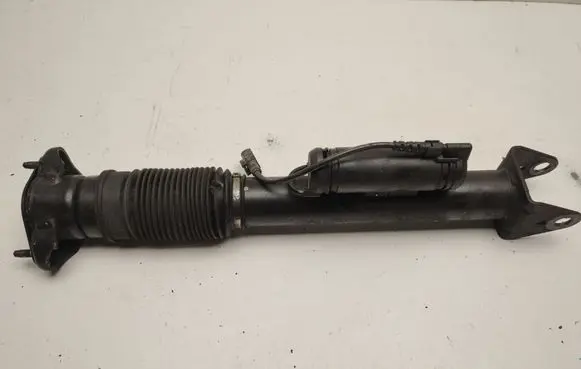 Rear shock absorber/damper