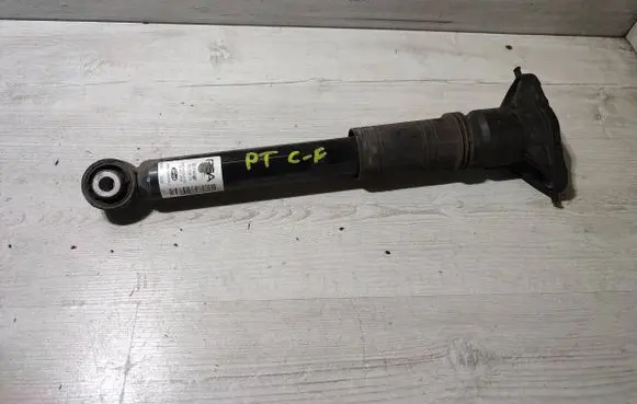 Opel Corsa F Rear shock absorber/damper 9837466880