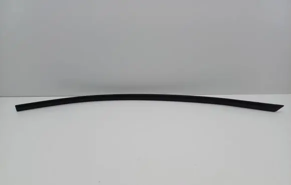 Volkswagen PASSAT B6 Rear door trim (molding) 3C0853753