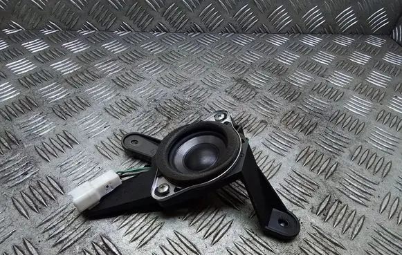 Front door speaker