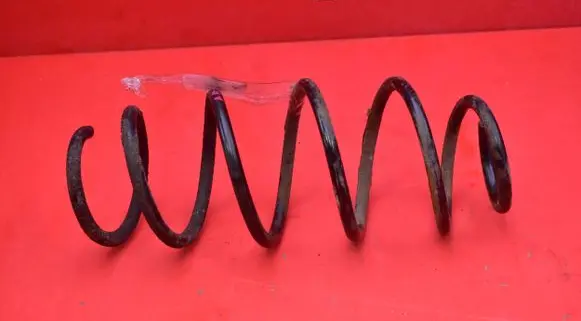 Front coil spring