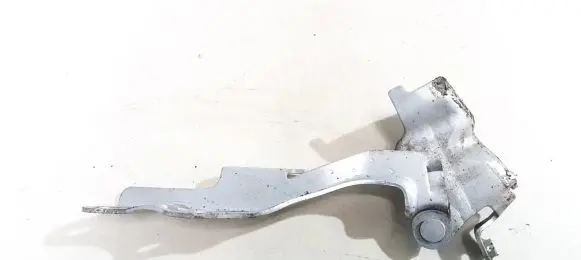 KIA Carnival Engine bonnet/hood hinges