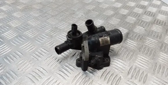 Thermostat/thermostat housing