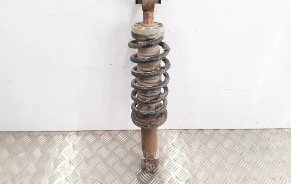 Peugeot 407 Rear shock absorber with coil spring 