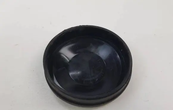 Volkswagen PASSAT B7 Headlight/headlamp dust cover 02174