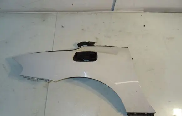 BMW Z4 E89 Fender