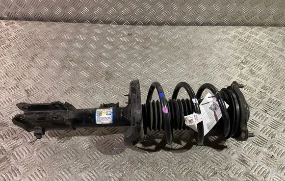 Hyundai Ioniq Front shock absorber with coil spring 54651G7650