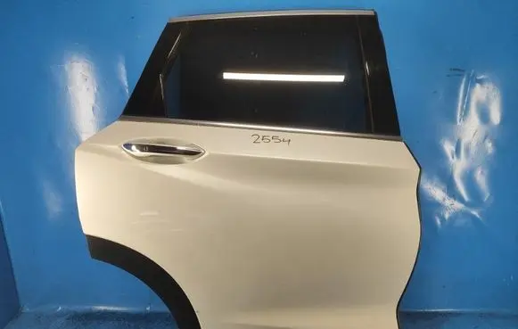 Infiniti QX50 (J50) Front door H21005VSMB