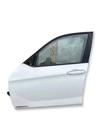 BMW X1 E84 Front door 