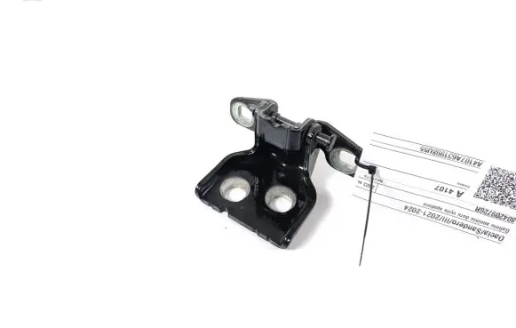 Dacia Sandero III Rear door lower hinge 804209726R