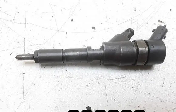 Citroen C5 Fuel injector 0445110076