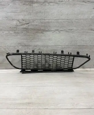 Front bumper lower grill