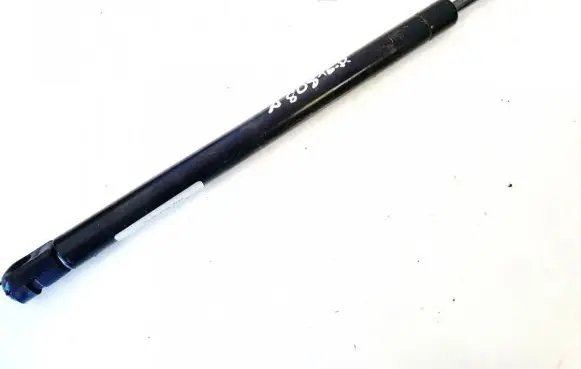 Tailgate/trunk strut/damper