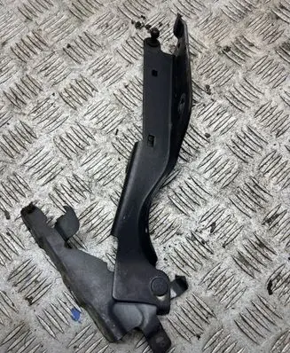 Infiniti FX Engine bonnet/hood hinges 
