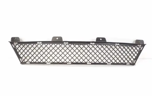 BMW Z4 E89 Front grill 7203790
