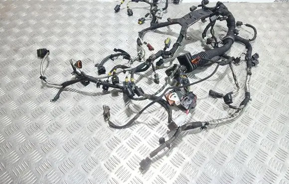 Engine installation wiring loom