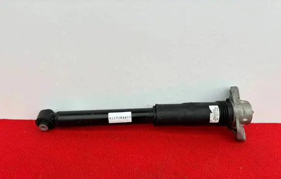 Volkswagen ID.4 Rear shock absorber/damper 1EA512011AL