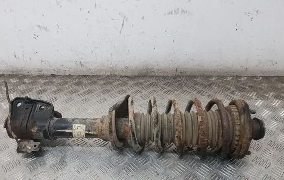 Land Rover Freelander Rear shock absorber with coil spring PB101650