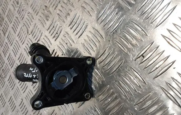 Thermostat/thermostat housing
