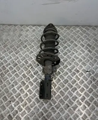 Front shock absorber with coil spring