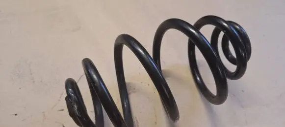 Volkswagen PASSAT B5.5 Rear coil spring 