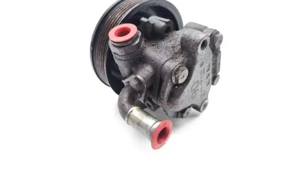 Volkswagen Golf IV Power steering pump 110422154