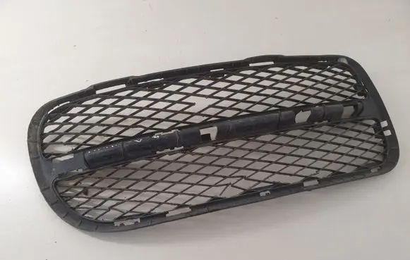 Volkswagen Touareg I Front bumper lower grill