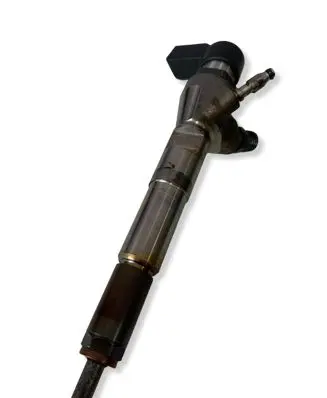 Nissan Qashqai Fuel injector H8201100113 166006212R