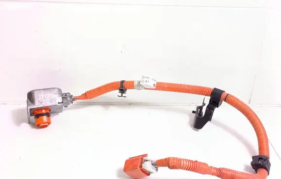 Toyota bZ4X Other wiring loom 821H242040