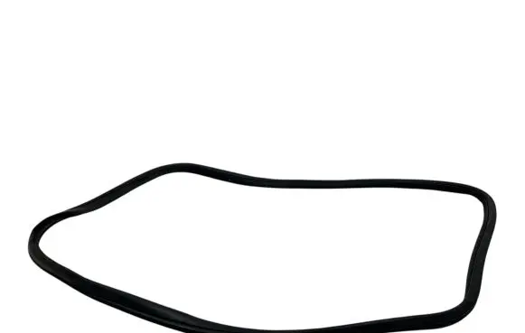 Rear door rubber seal (on body)