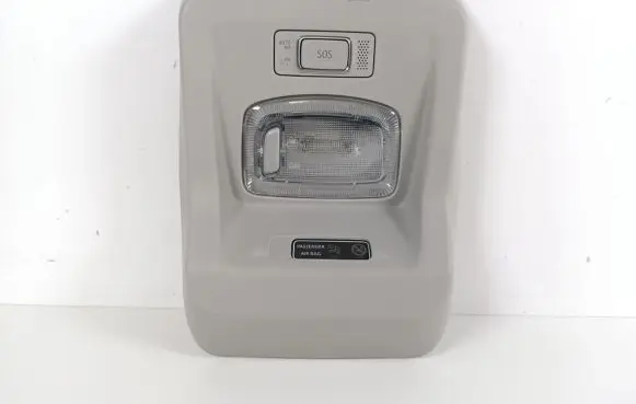 Dacia Spring Front seat light 264307665R