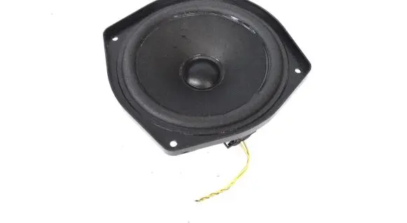 BMW Z4 E85 E86 Front door speaker 6915839