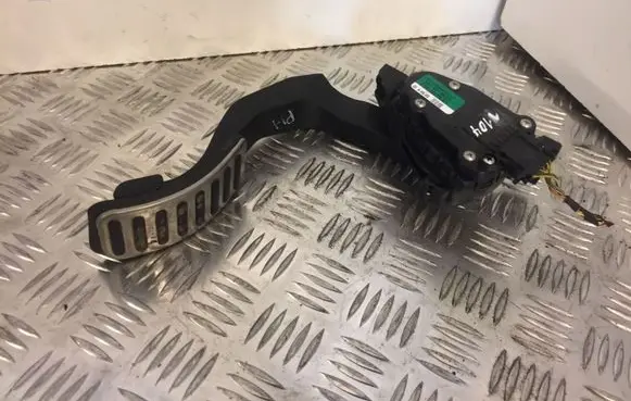 Volkswagen Phaeton Accelerator throttle pedal 3D1721503L 1104