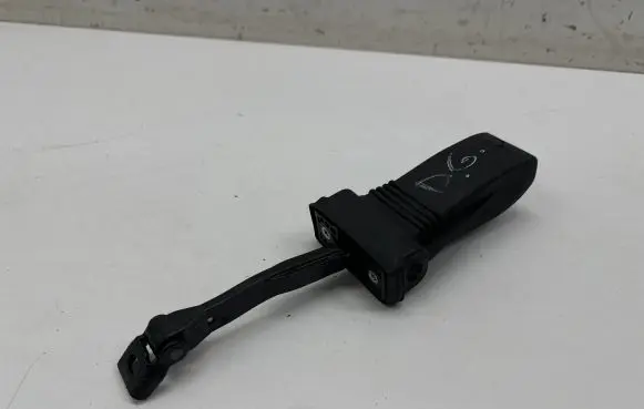 Audi A6 S6 C8 4K Rear door check strap stopper 4K0839267 4K0839249