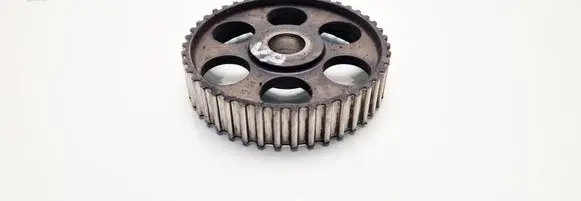 Volkswagen PASSAT B5 Camshaft pulley/ VANOS 069109111