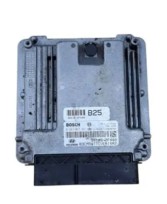 Hyundai Santa Fe Engine control unit/module 391182F440 391032F440 0281017541