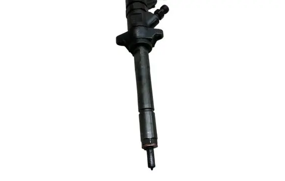 Citroen Berlingo Fuel injector 0445110239