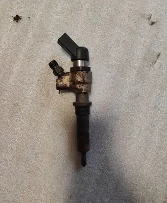 Citroen Berlingo Fuel injector 9652173780
