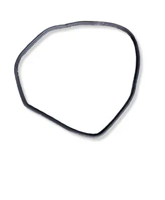 BMW 6 G32 Gran Turismo Rear door rubber seal (on body)
