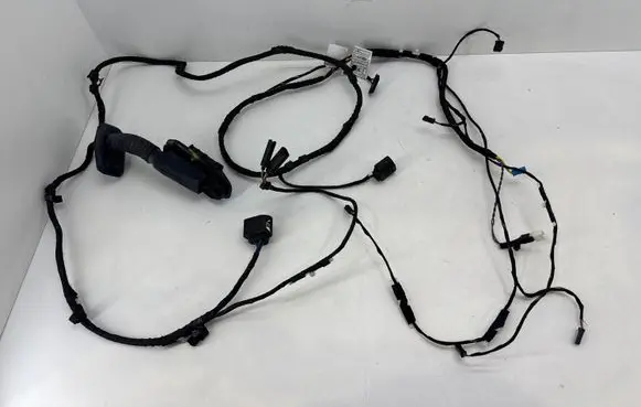 BMW 5 F10 F11 Front door wiring loom 9169241