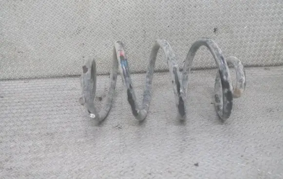 Renault Modus Rear coil spring