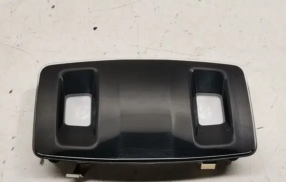 Lexus RX V Rear seat light 1D153105G