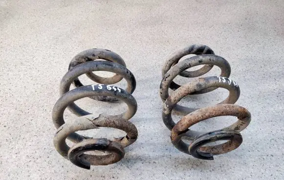 Rear coil spring