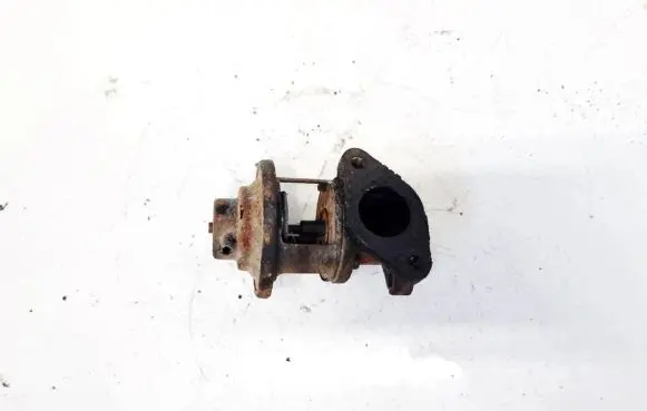 Peugeot 405 EGR valve