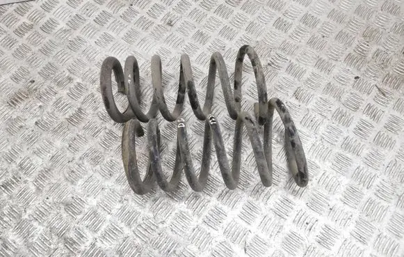 Rear coil spring