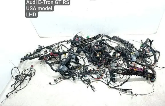 Audi E-tron GT Other wiring loom 4J3971095H