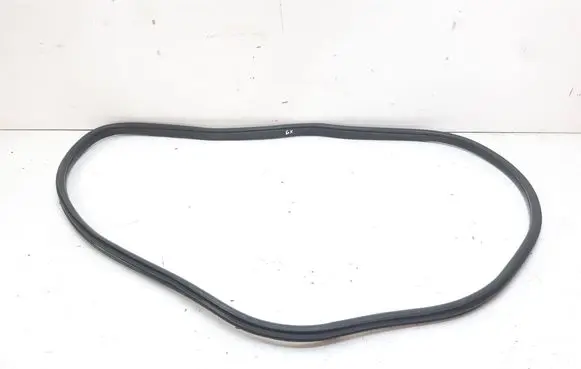 BMW X3 F25 Rear door rubber seal (on body) 7311267