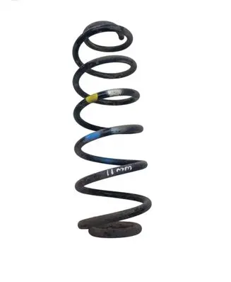 Rear coil spring