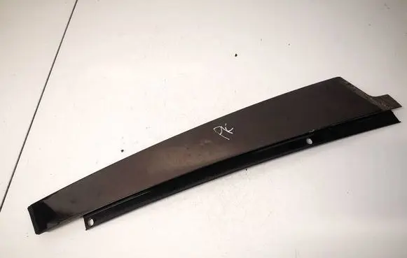 Mercedes-Benz S W221 Front door glass trim molding